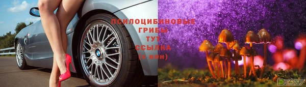 2c-b Касимов